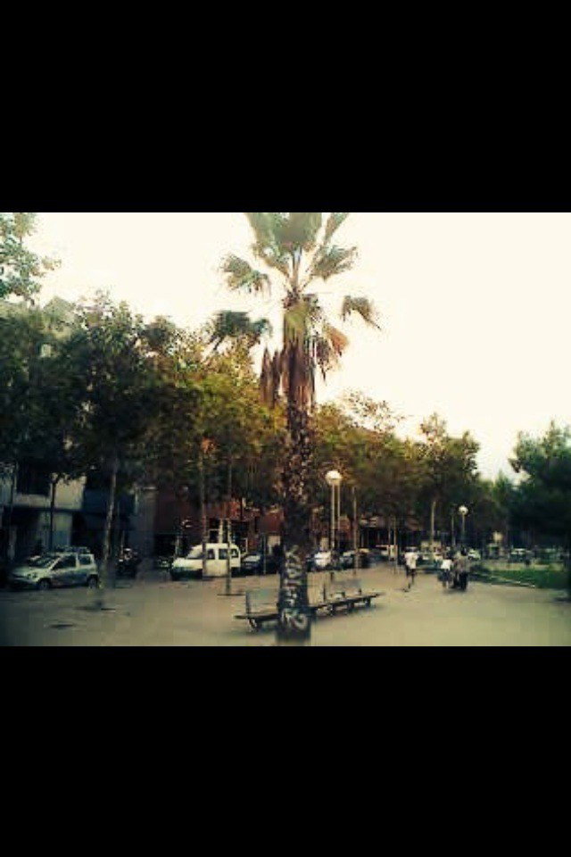 Graffiti Wall - Photo by Lackaffe - Kefir, pALMsTREET, GreenPiece