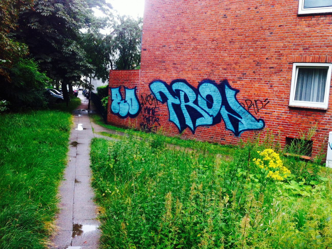 Graffiti Wall - Photo by Lackaffe - Tron, Ro..., rokoe