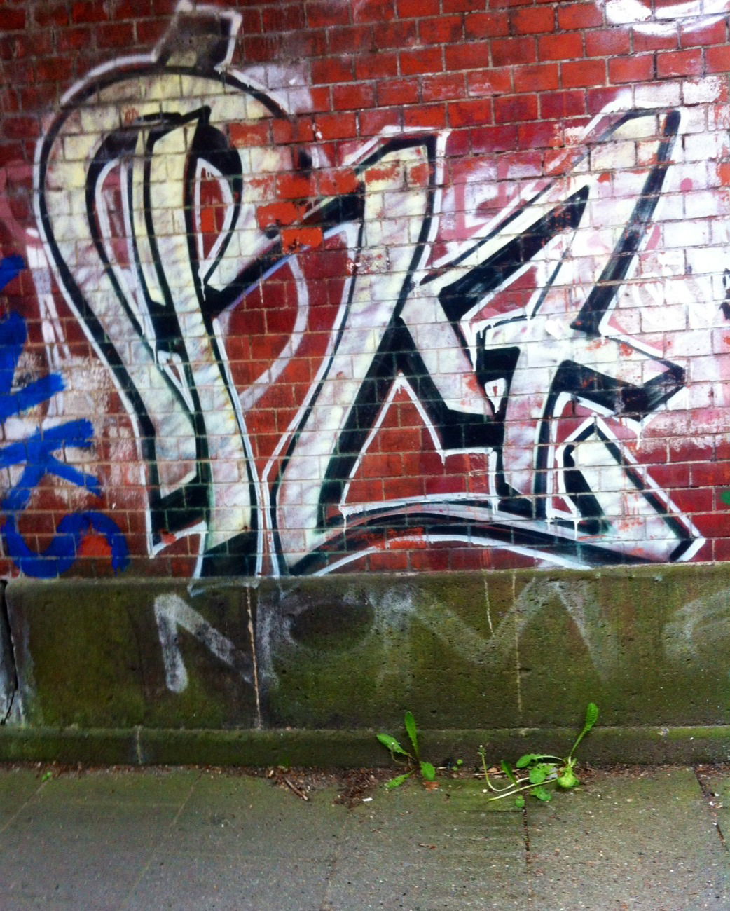 Graffiti Wall - Photo by Lackaffe - R7, ROSE[RiP]..., redrosesinmygarden