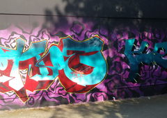 Photo #232016 by TheWallHunter