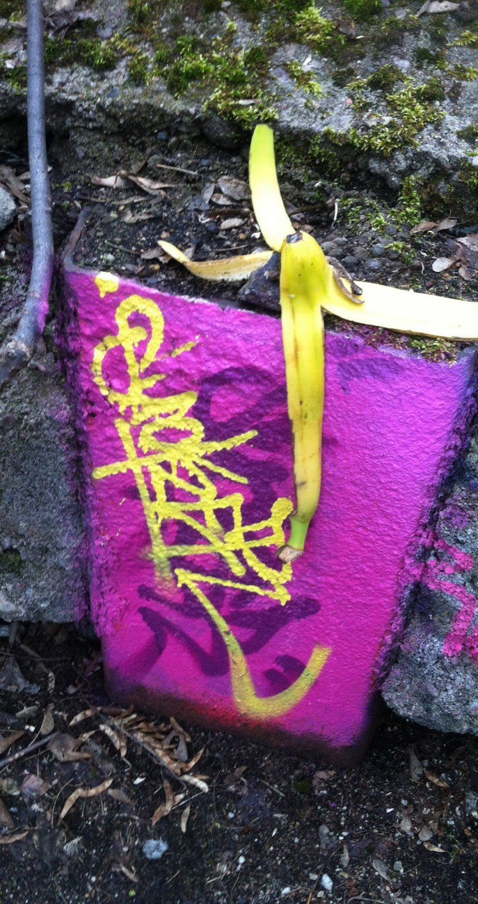 Graffiti Wall - Photo by Lackaffe - Sucker, sucka1, banana