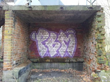 Graffiti Bombing - Photo by LackierPerson