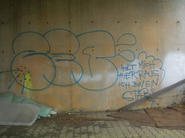 Graffiti Bombing - Photo by LackierPerson