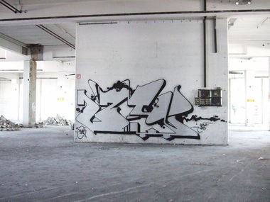 Graffiti Bombing - Photo by LackierPerson