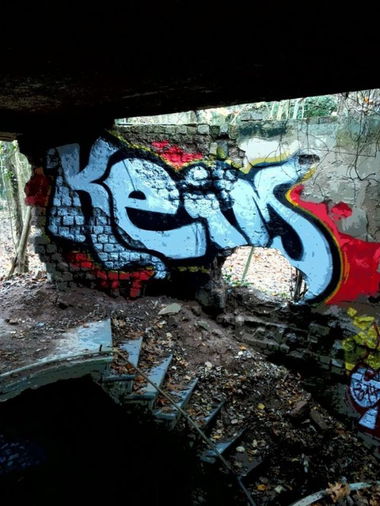 Graffiti Bombing - Photo by LackierPerson