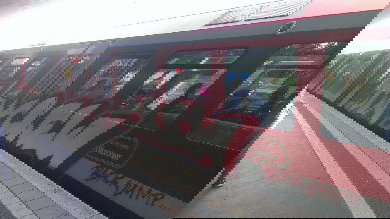 Graffiti Train - Photo by Lackspotter - backjump, sbahn, hamburg (2014)