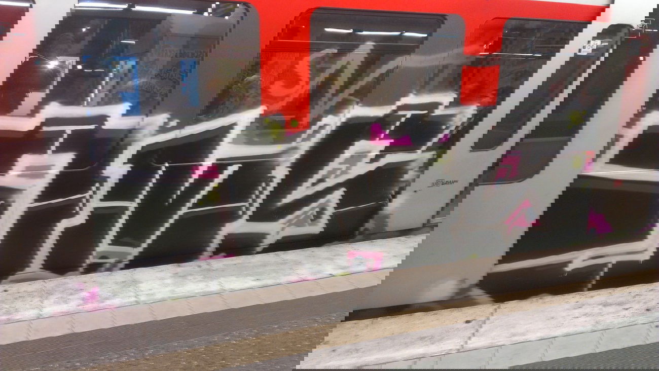 Graffiti Train - Photo by Lackspotter - qms, hamburg, sbahn (2014)