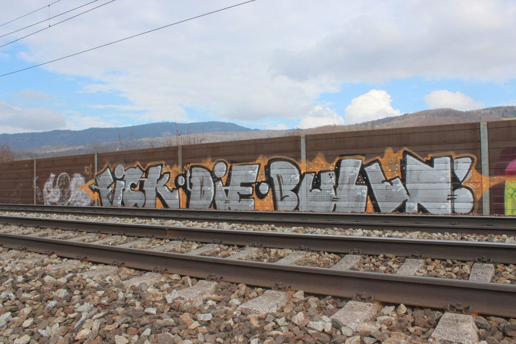 Graffiti in Austria - Photo by Lambert - Fick, Die, Bulln