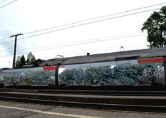 Photo #1273 by GUETERSLOW