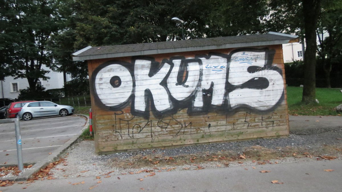 Graffiti Bombing in Salzburg - Photo by Lambert - okums