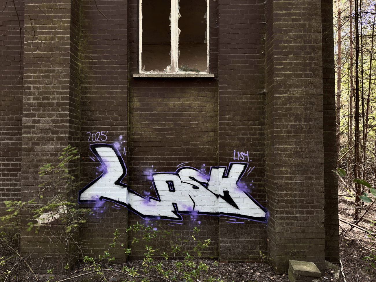 Graffiti in Deutschland - Photo by Lasher - LASH, LASHR