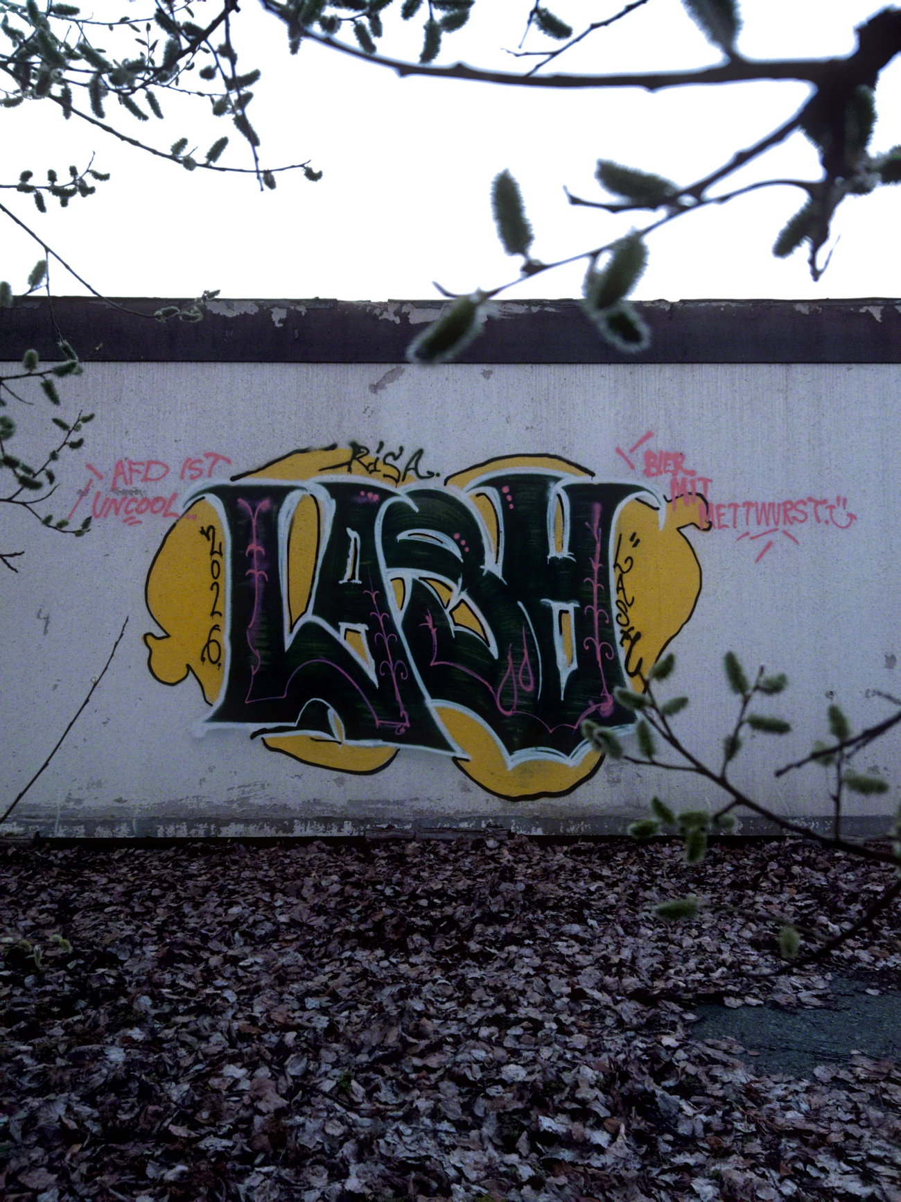 Graffiti Wall in Bayern - Photo by Lasher - LASH, RISA