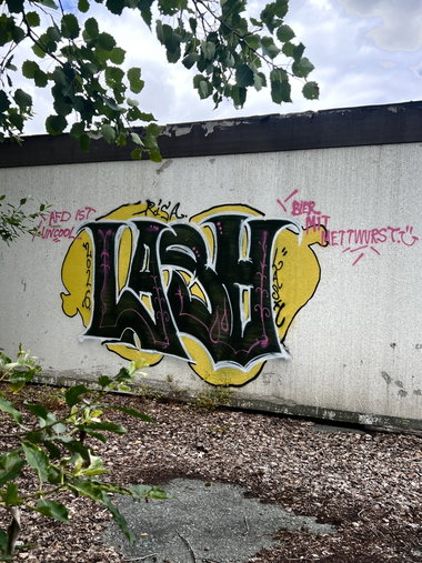Graffiti Wall in Germany - Photo by Lasher - LASH