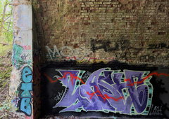Photo #251604 by iobe1