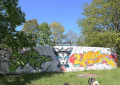 Photo #188314 by MENO