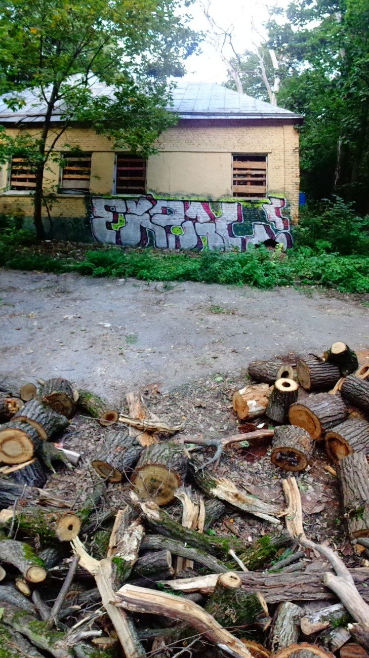 Graffiti Wall - Photo by Lazke - Ekzal (2016)