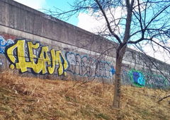 Photo #145608 by tvae