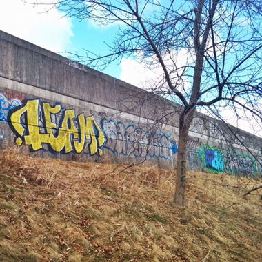 Graffiti Bombing in Toronto - Photo by Lea - Lea, Leam (2015)