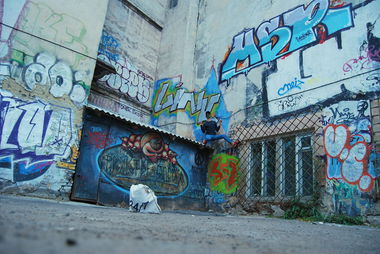 Graffiti Wall in Lviv - Photo by Leank - Leank, Obiez, Dma (2014)