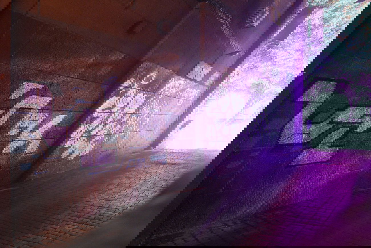 Graffiti Wall - Photo by Leank - Leank, Speener, Ator (2014)