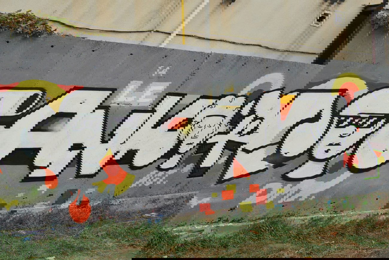 Graffiti Wall - Photo by Leank - Leank, Dma, Act (2014)