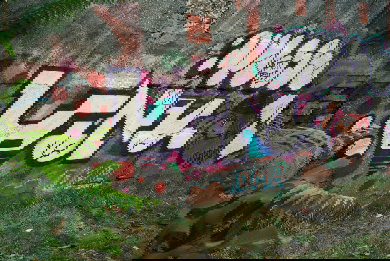 Graffiti Wall - Photo by Leank - Leank (2014)