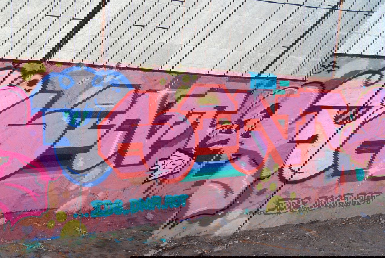 Graffiti Wall - Photo by Leank - Leank, Dma, Act (2014)