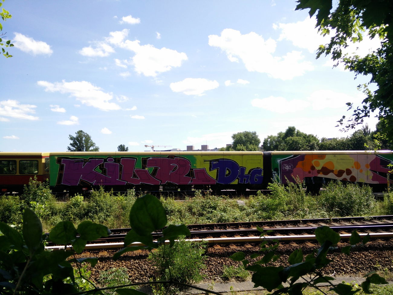 Graffiti Train - Photo by LeerMarker - Kilr, DHG (2015)