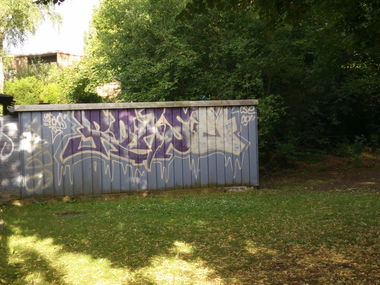Graffiti Bombing - Photo by LeerMarker - Roxse, Roxe, CSE (2009)