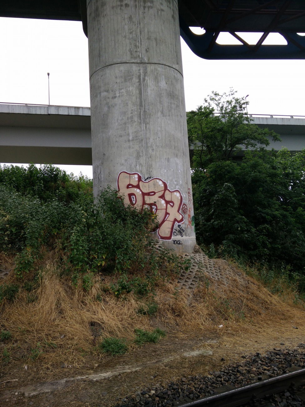 Graffiti Bombing - Photo by LeerMarker - 637 (2015)