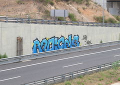 Graffiti Photo by LeerMarker - Radicals, RCS, Mallorca (2014)