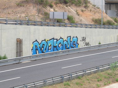 Graffiti Photo by LeerMarker - Radicals, RCS, Mallorca (2014)