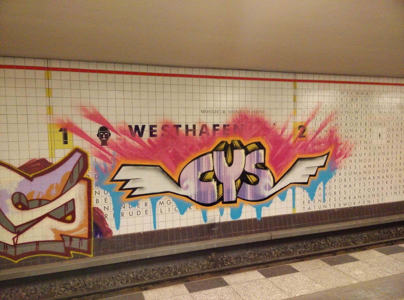 Graffiti Bombing - Photo by LeerMarker - CYS (2015)