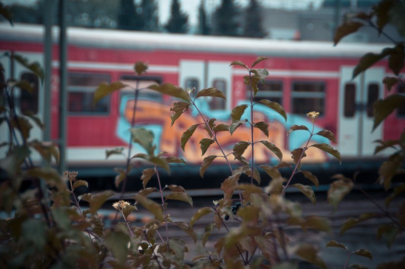 Graffiti Artwork - Photo by Legion0711 - Train, Yard, Silence (2013)