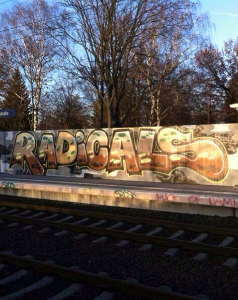 Graffiti Bombing - Photo by LeipzigHBF - Radicals, Rcs, rcscrew (2014)