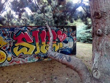 Graffiti Wall - Photo by Lenice