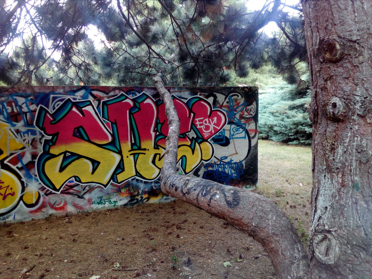 Graffiti Wall - Photo by Lenice