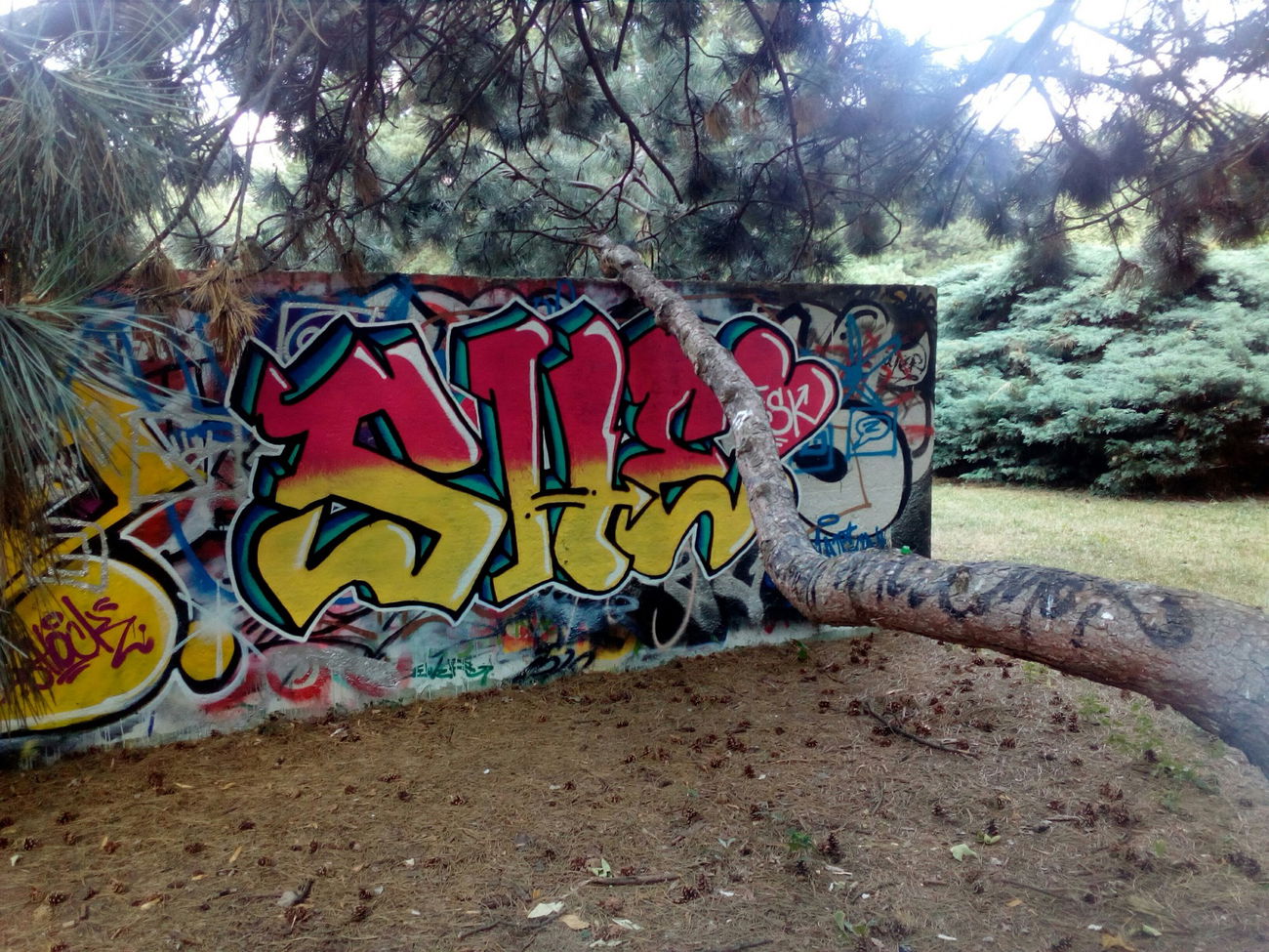 Graffiti Wall - Photo by Lenice