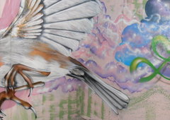 Photo #48136 by Osnova