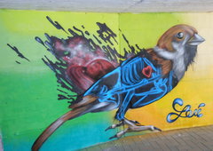 Photo #48137 by Osnova