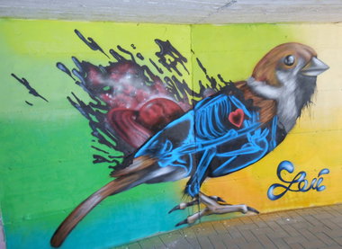 Graffiti Wall - Photo by Leu (2013)