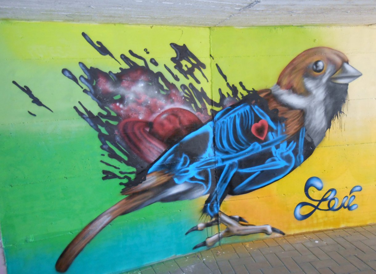 Graffiti Wall - Photo by Leu (2013)