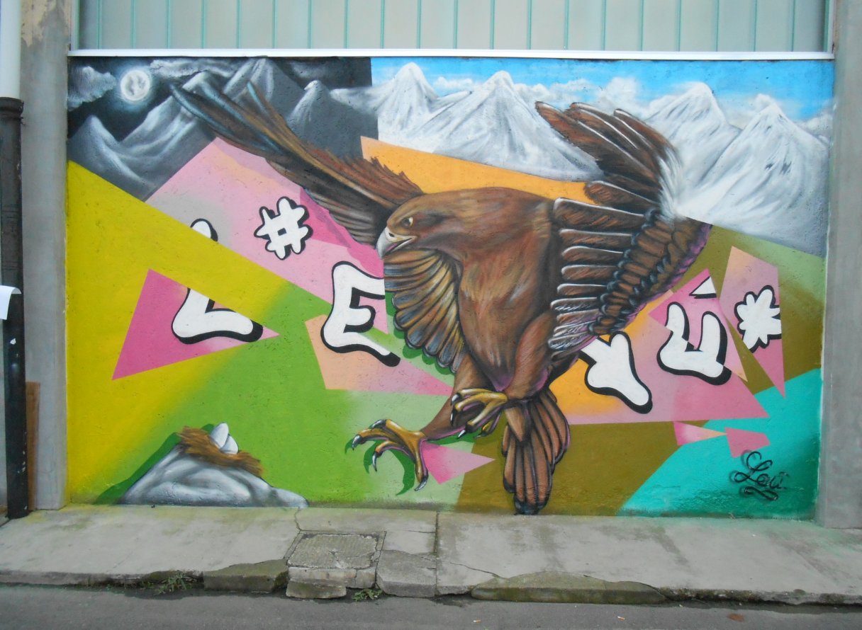 Graffiti Wall - Photo by Leu (2013)