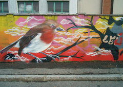 Photo #53147 by Pius