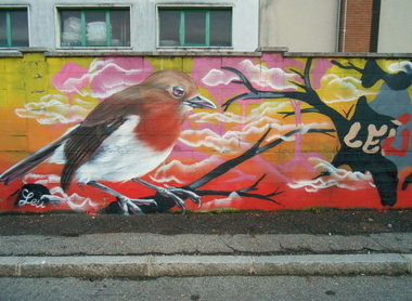 Graffiti Wall - Photo by Leu