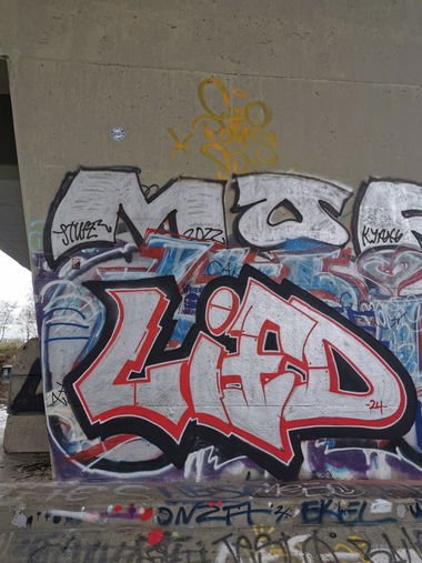 Graffiti Bombing in Berlin - Photo by Lifd5 - lifd