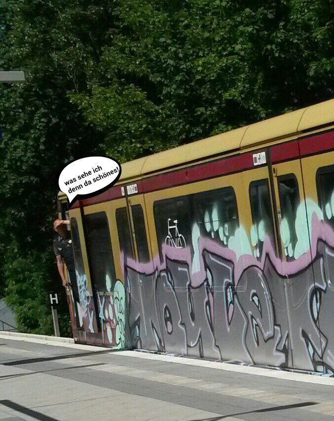 Graffiti Train - Photo by Lifd5