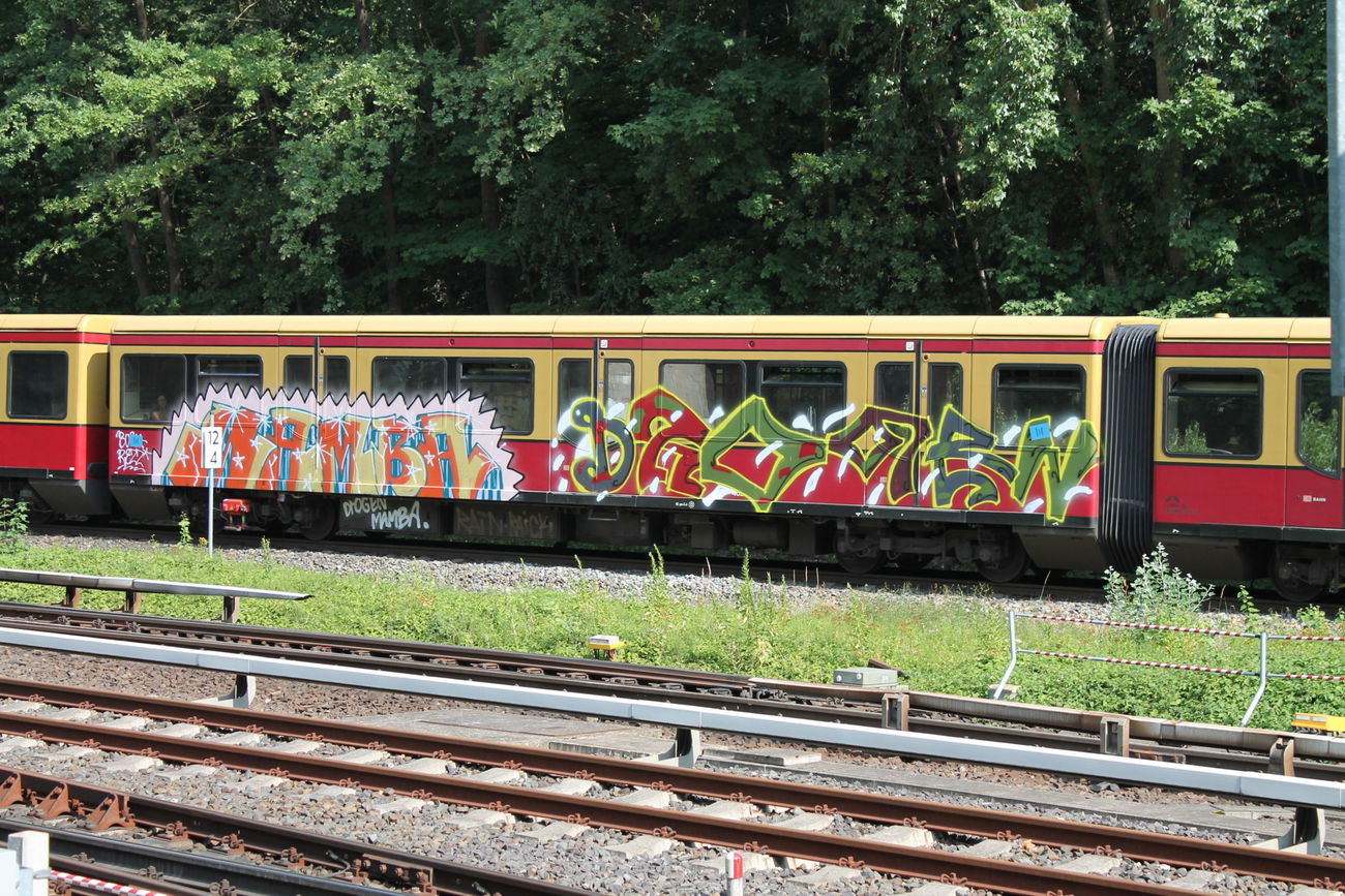 Graffiti Train in Berlin - Photo by Lifd5 (2016)