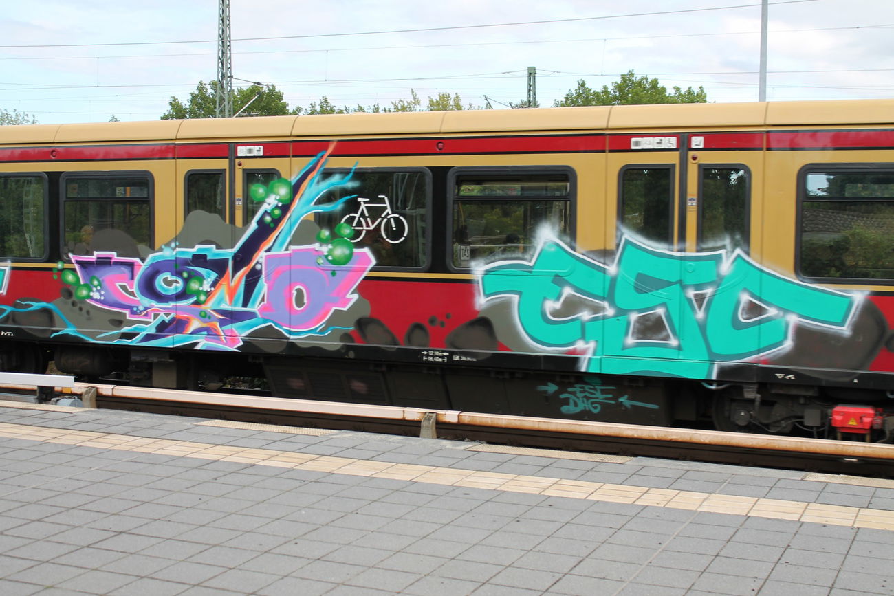 Graffiti Train in Berlin - Photo by Lifd5 (2016)