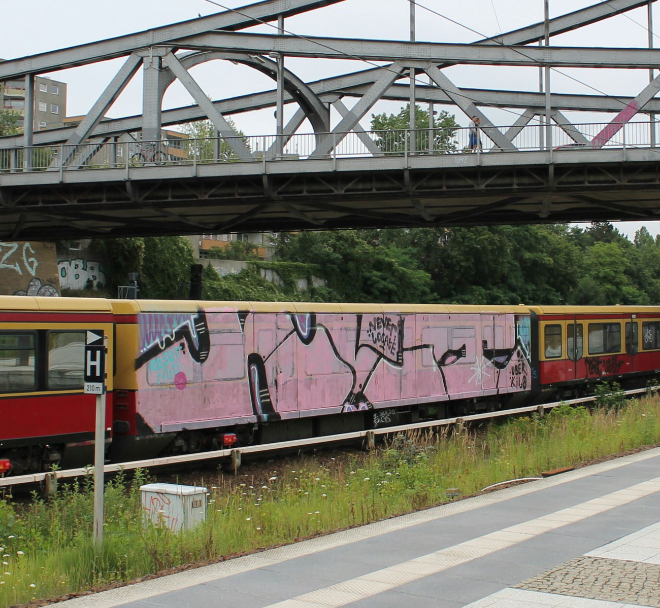 Graffiti Train in Berlin - Photo by Lifd5 (2016)
